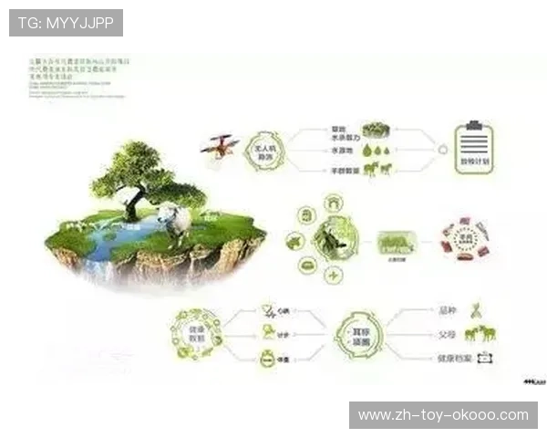 广州网球队的控制策略与发展现状深度解析