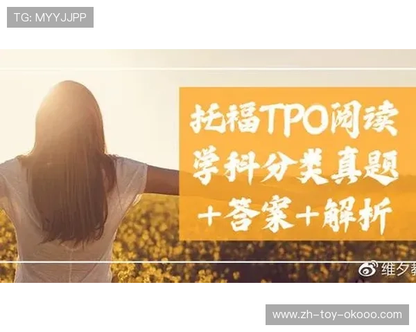 独家解析西安排球队配合风格及战术对比分析